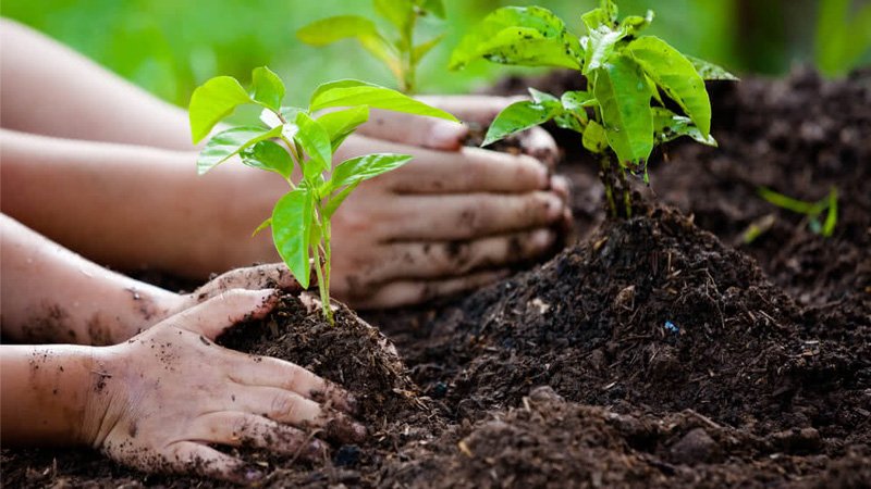 Environment Protection